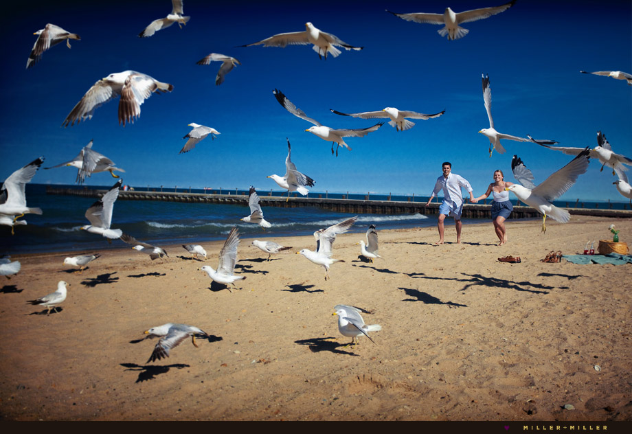 seagulls-beach-front-photographs-boardwalk