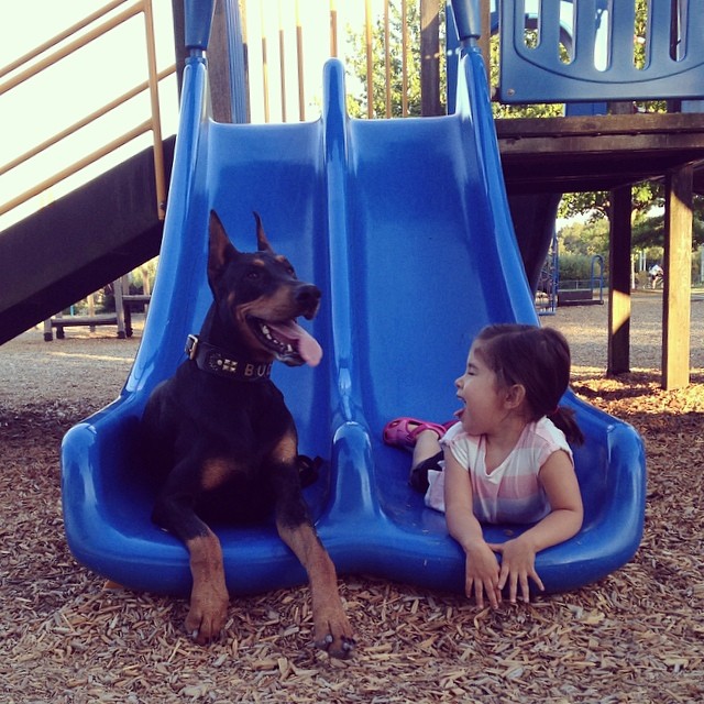 cutie-and-the-beast-dog-girl-seana-doberman-10