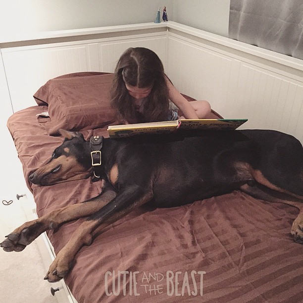 cutie-and-the-beast-dog-girl-seana-doberman-99