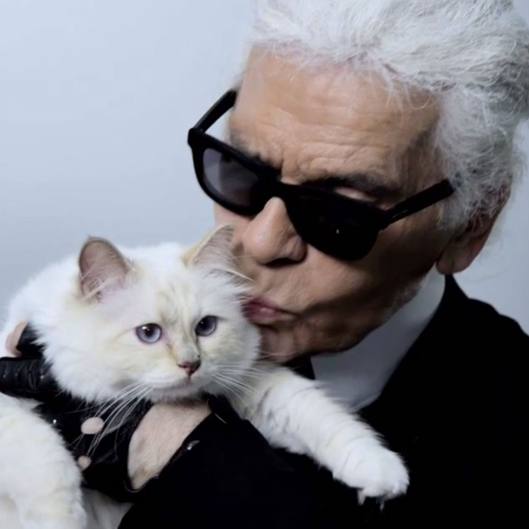 Karl-Lagerfeld-Cat-Video