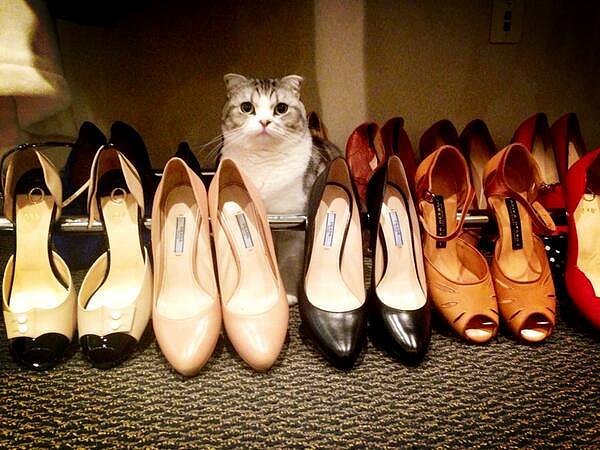 When-Meredith-got-hang-out-shoe-collection-costs-more-than-your-yearly-rent