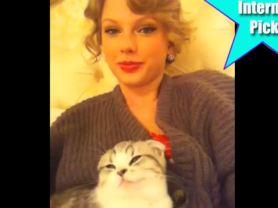 taylorswiftpluscat_Large