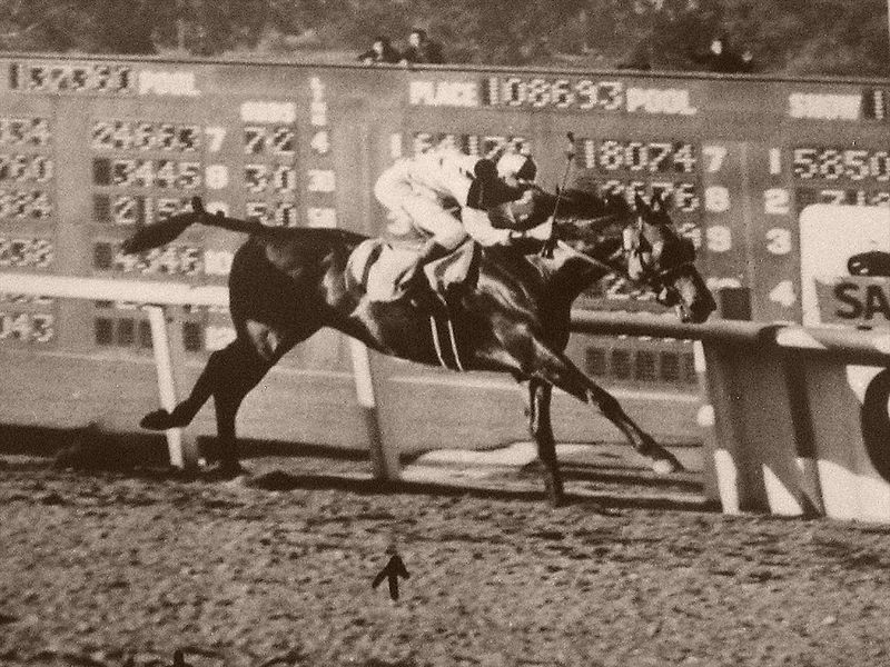 800px-Seabiscuit_winning_1940_SAH