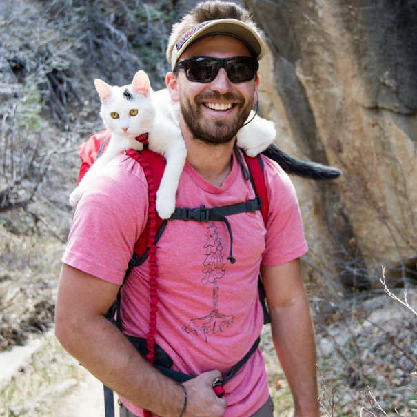 camping-with-cats-ryan-carter-11-5792010f8745e__605