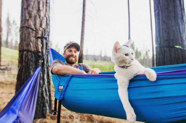 camping-with-cats-ryan-carter-5-57920100089db__605