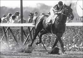 war admiral