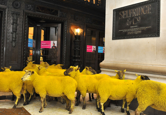 wool_week_at_selfridges_0