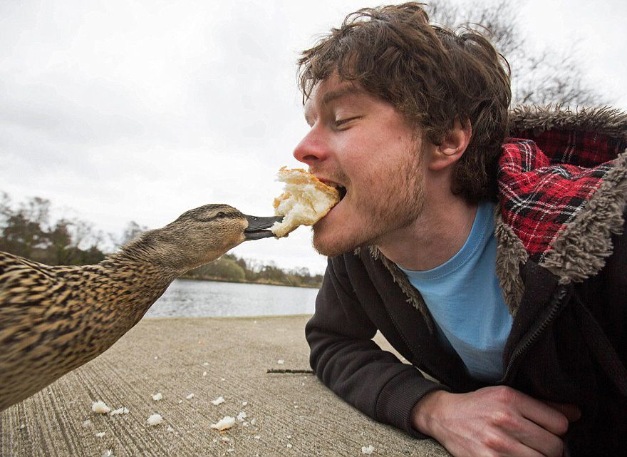 funny-animal-selfies-allan-dixon-3