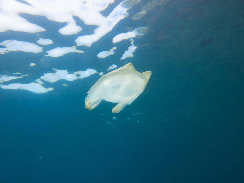 plastic-bag-sea