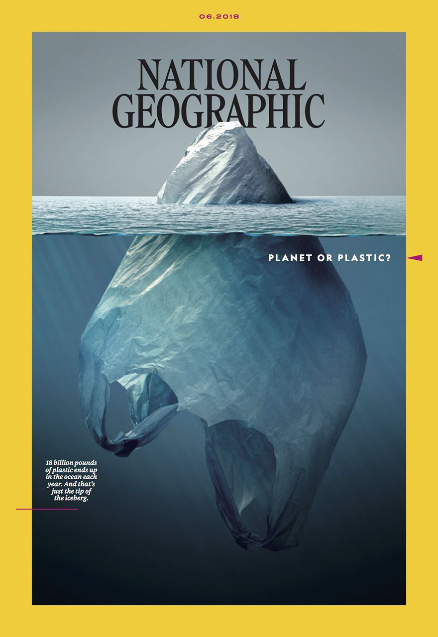 plastic-crisis-impact-on-wildlife-national-geographic-june-issue-cover-18-5afd83cf37ffc__880