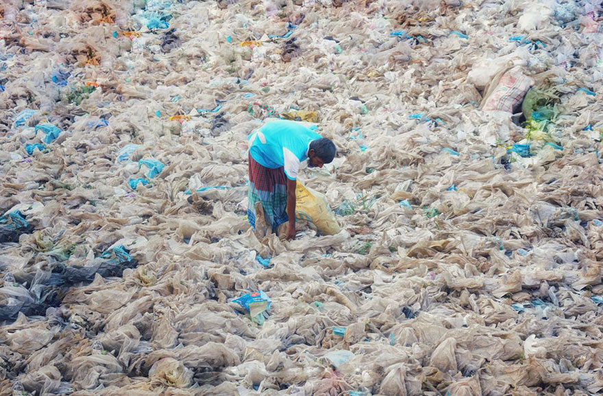 plastic-crisis-impact-on-wildlife-national-geographic-june-issue-cover-20-5afd85026633b__880