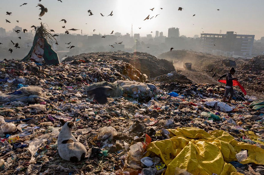 plastic-crisis-impact-on-wildlife-national-geographic-june-issue-cover-5-5afd854fbc278__880