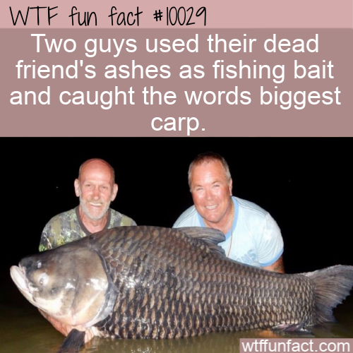 WTF-Fun-Fact-Thai-Fishing-Legend