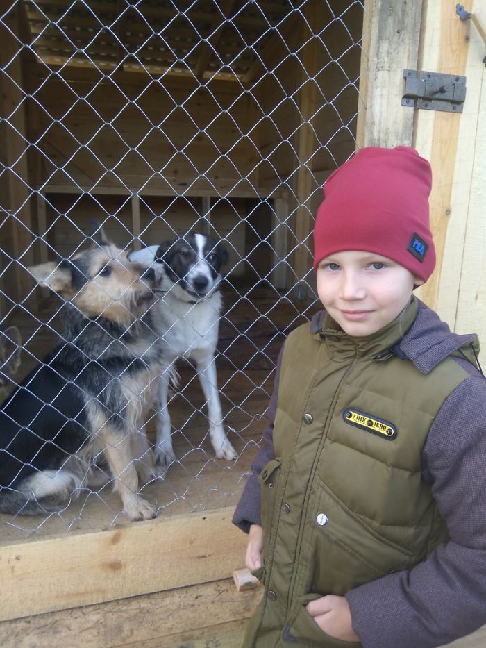 9-year-old-Russian-boy-trades-his-art-for-abandoned-dog-food-and-medicine-5da51e90973a6__700