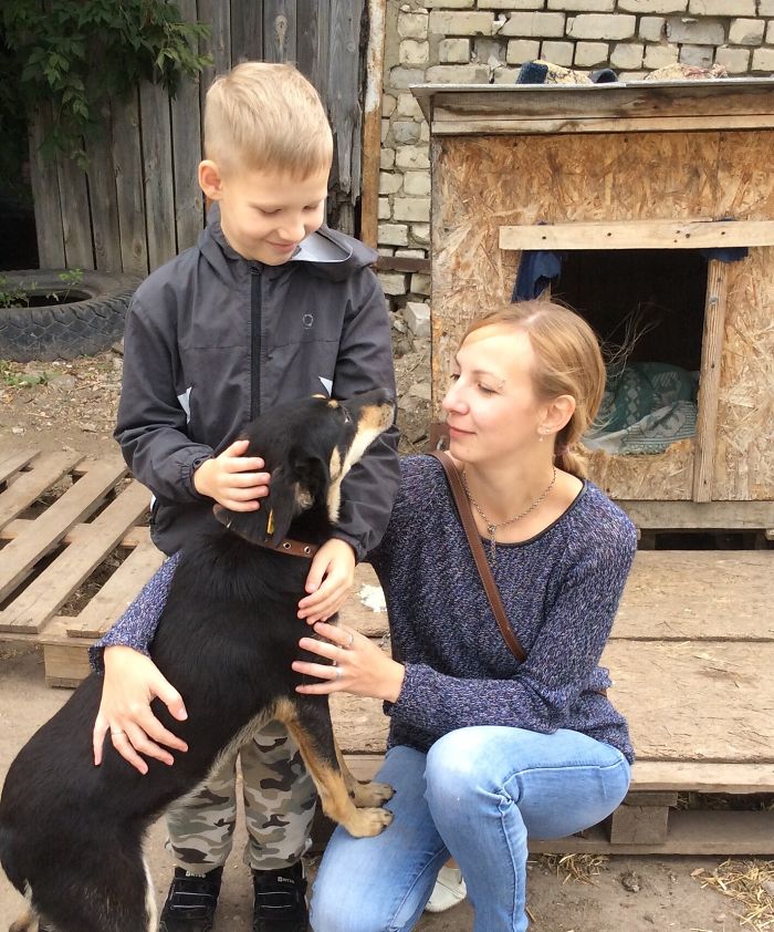 9-year-old-Russian-boy-trades-his-art-for-abandoned-dog-food-and-medicine-5da96ba1a749f__700